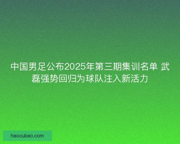 中国男足公布2025年第三期集训名单 武磊强势回归为球队注入新活力