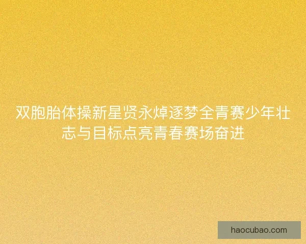 双胞胎体操新星贤永焯逐梦全青赛少年壮志与目标点亮青春赛场奋进 双胞胎体操新星贤永焯逐梦全青赛少年壮志与目标点亮青春赛场奋进