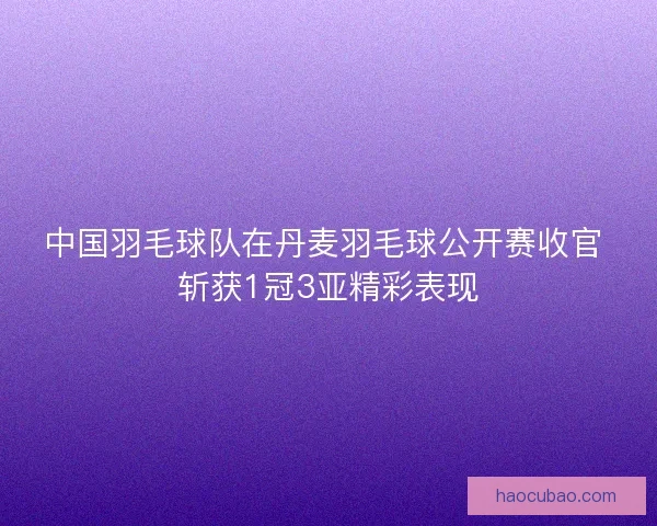 中国羽毛球队在丹麦羽毛球公开赛收官 斩获1冠3亚精彩表现