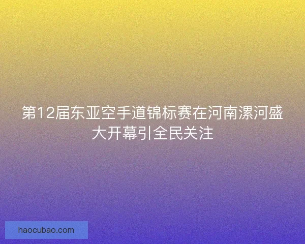 第12届东亚空手道锦标赛在河南漯河盛大开幕引全民关注