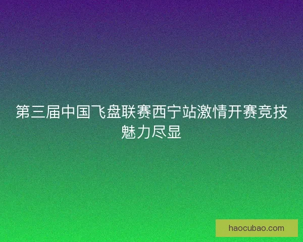 第三届中国飞盘联赛西宁站激情开赛竞技魅力尽显 第三届中国飞盘联赛西宁站激情开赛竞技魅力尽显