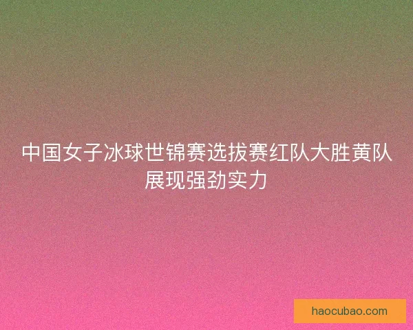 中国女子冰球世锦赛选拔赛红队大胜黄队展现强劲实力